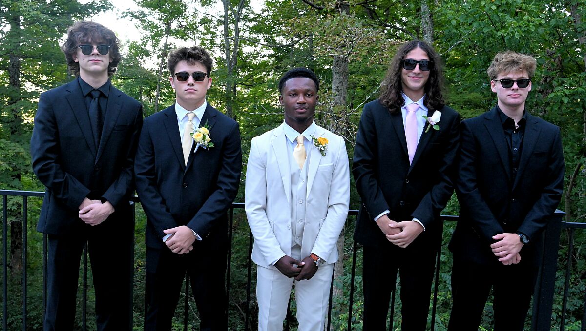 Cams gang